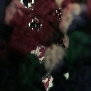 Meet your Posher, Paul